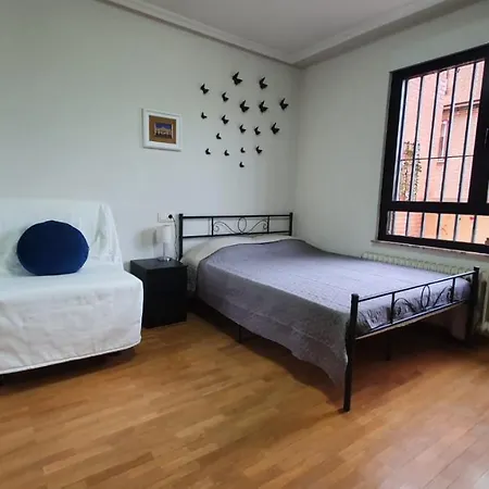 Piso Con Amplia Terraza Gratis Parking En La Calle Cerca Petfriendly * Salamanka